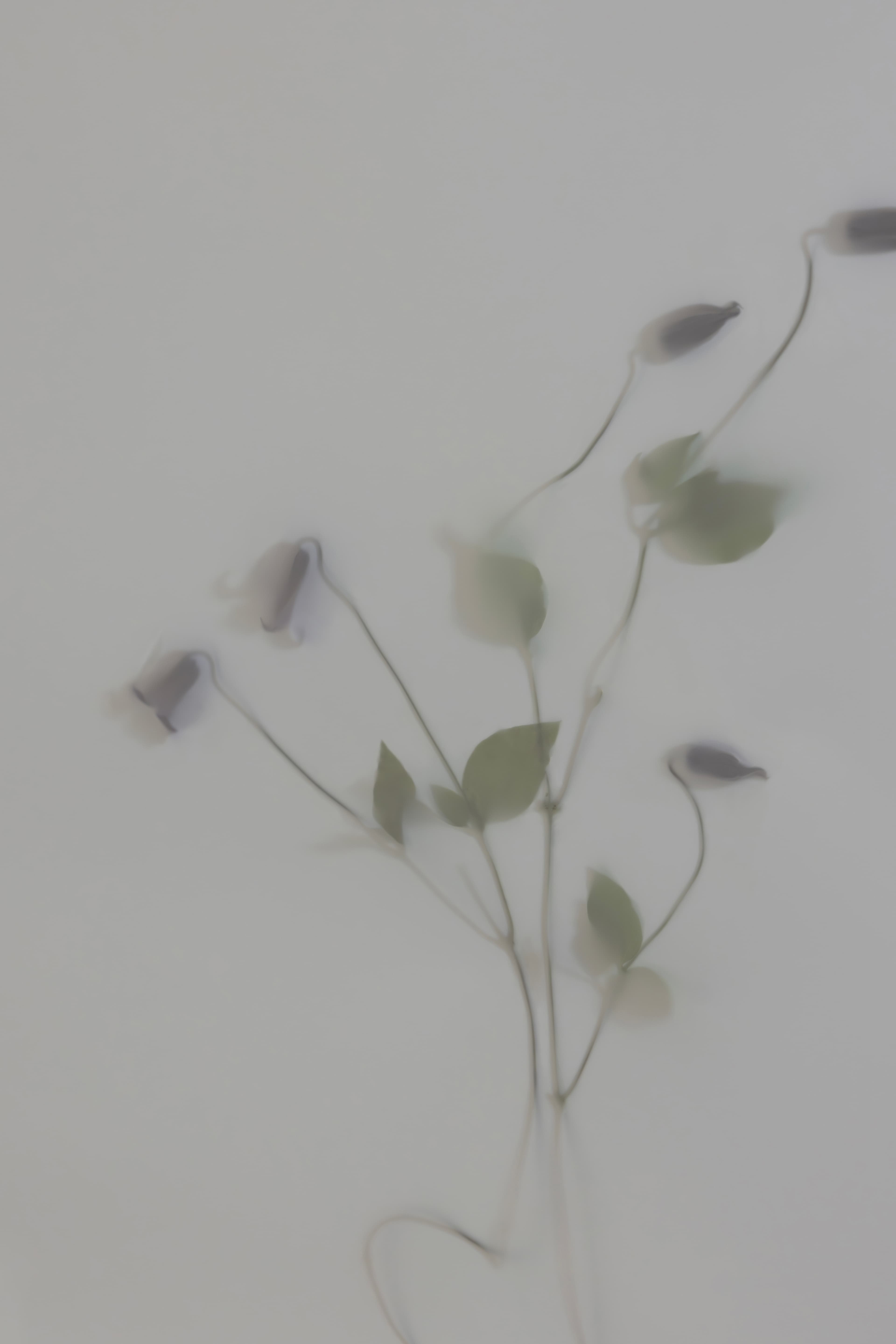 DIE VASE 상업 작업물 - 68-H